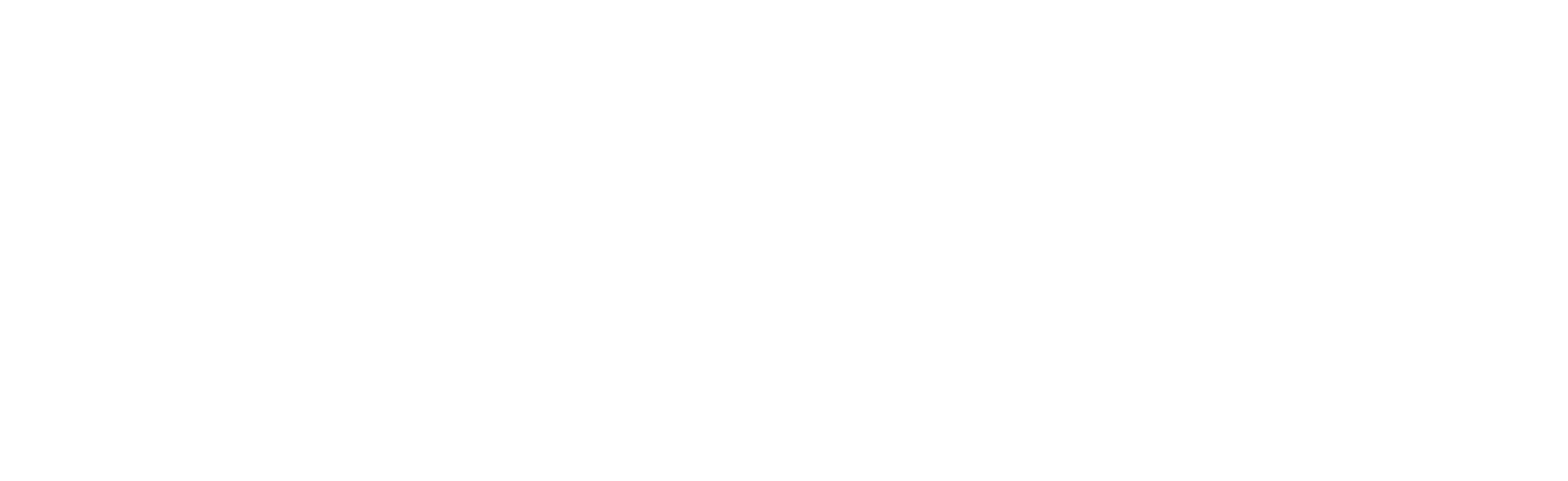 Teamfire Logo